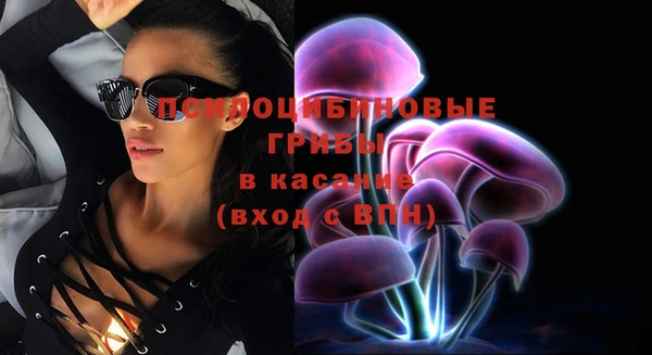 дживик Михайлов