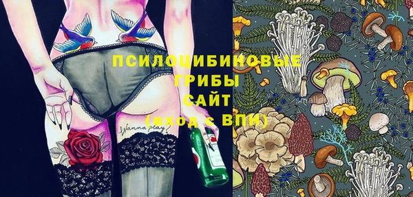 соль ск Мегион
