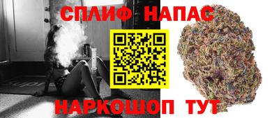 крисы Ипатово