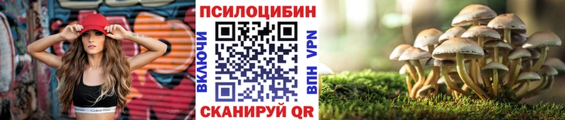 Галлюциногенные грибы Psilocybine cubensis  Переславль-Залесский 