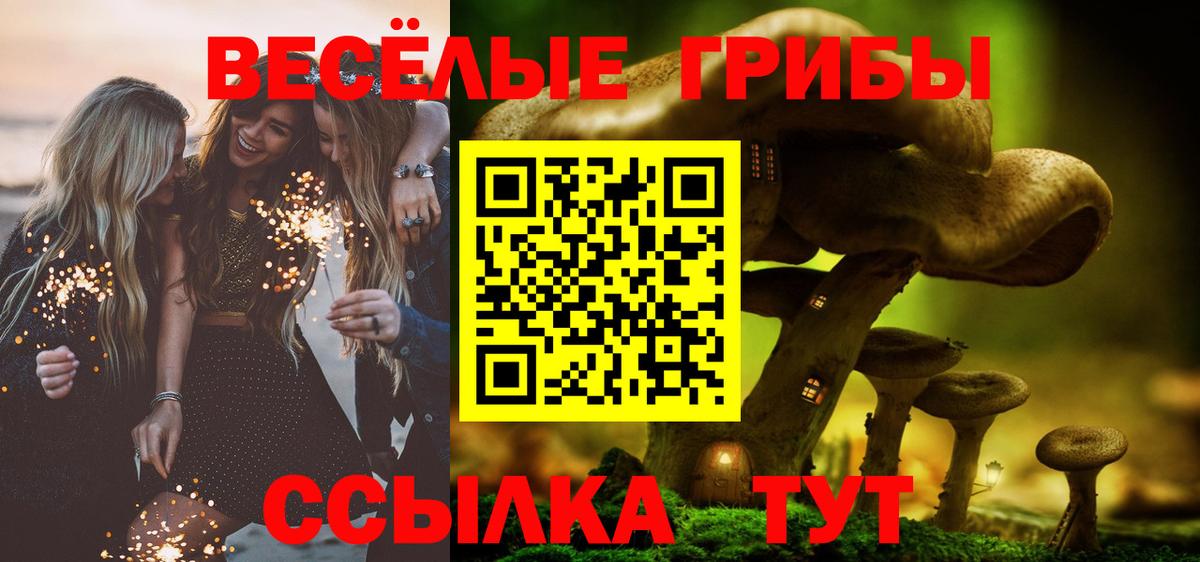 Псилоцибиновые грибы Psilocybe  Псилоцибиновые грибы Psilocybe  Переславль-Залесский  Вход с VPN 